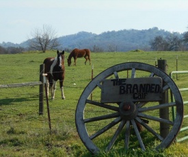 The Branded Calf Bed & Breakfast