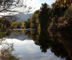 Sequoia Riverfront Cabins