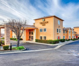 Quality Inn near Six Flags Discovery Kingdom-Napa Valley