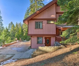 Cozy Bear South-Inside Yosemite National Park