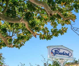 Bluebird Inn