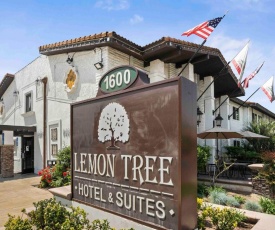 The Lemon Tree Hotel