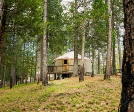 Yosemite Lakes Hillside Yurt 14