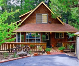 Stony Creek Cabin: Game Room, Close to Town, A/C!