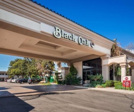 Best Western Plus Black Oak