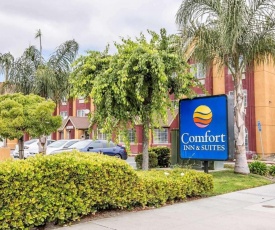 Comfort Inn & Suites Salinas